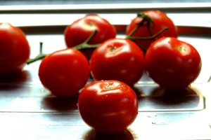 stuffed tomatoes