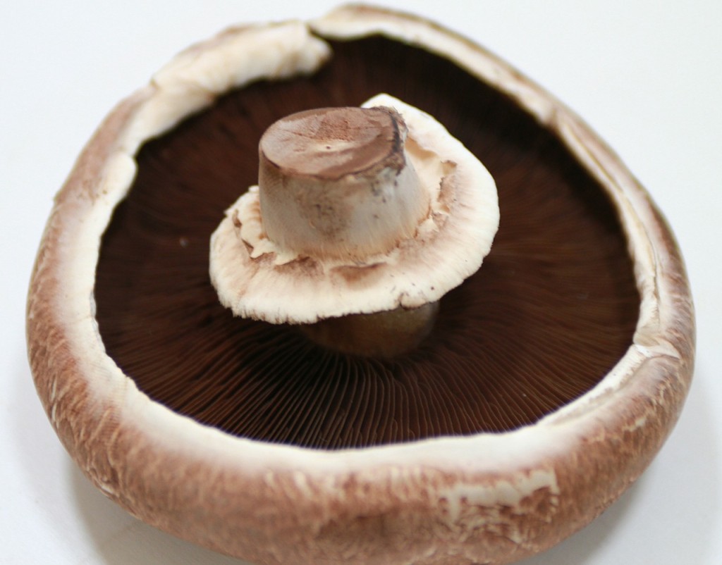 quinoa stuffed portobello mushrooms 