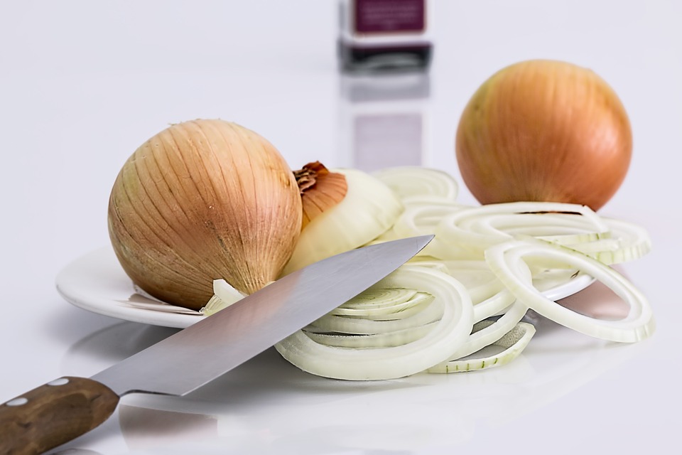 onion patties